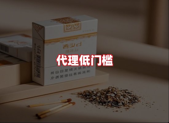 专业团队